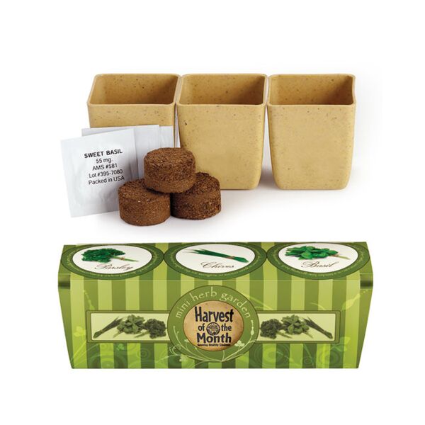 Growpot Eco-Planter Herb 3-Pack Thumbnail